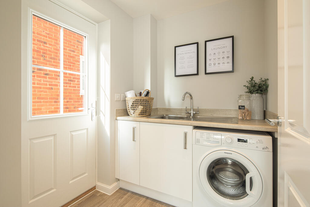 BVISWDBICKCYPRESS (6)