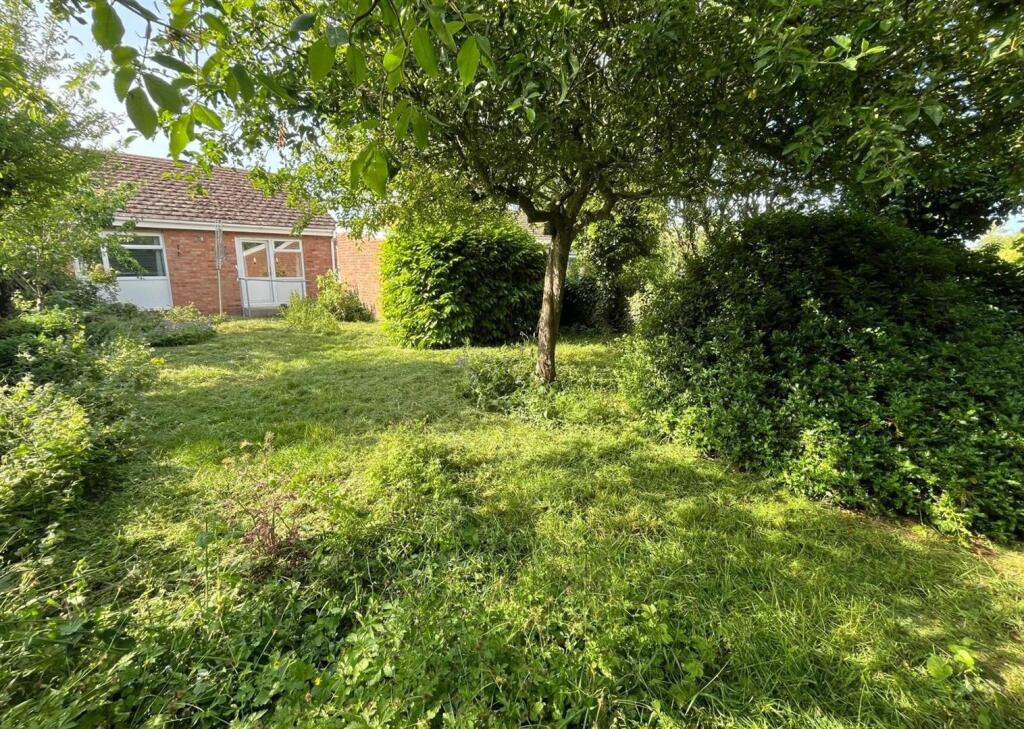 Garden3.jpg