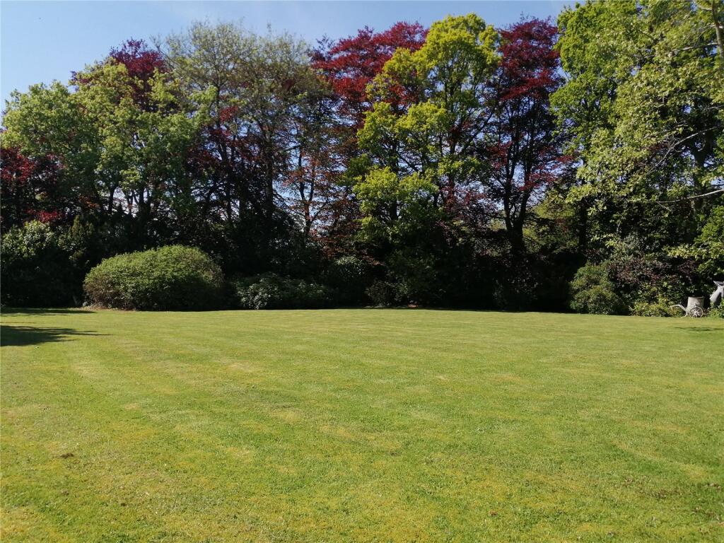 Garden In Summer