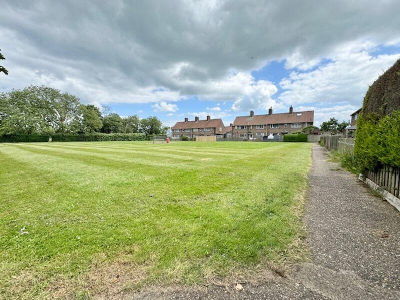 Communal gardens view 2