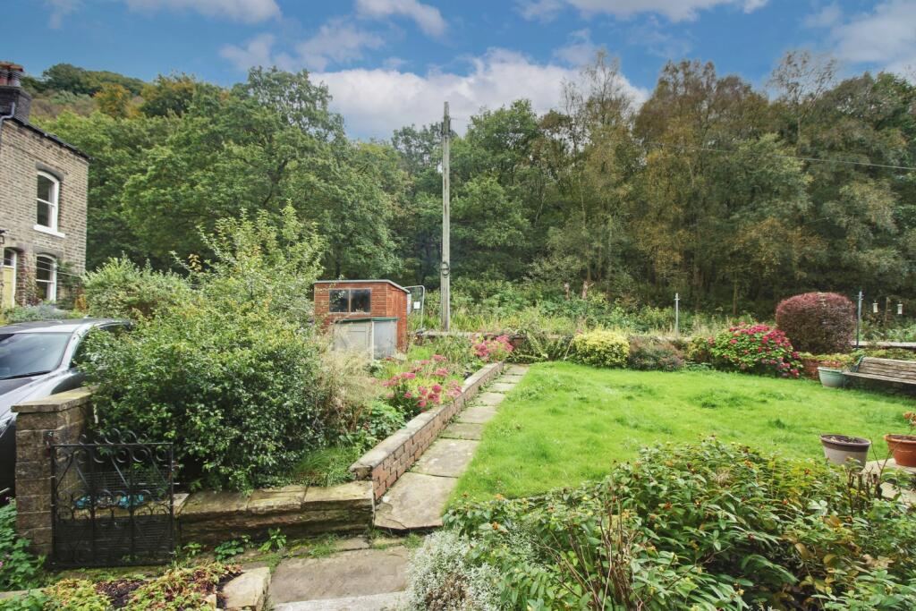 Back Garden