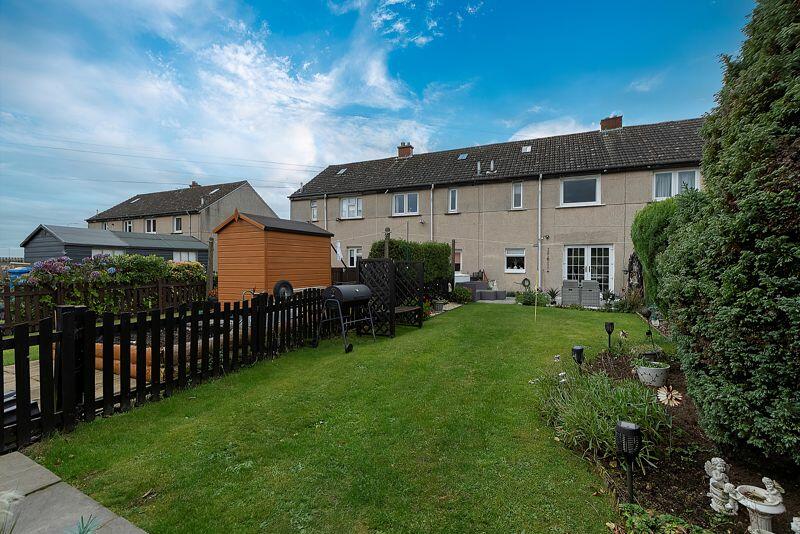 Back Garden
