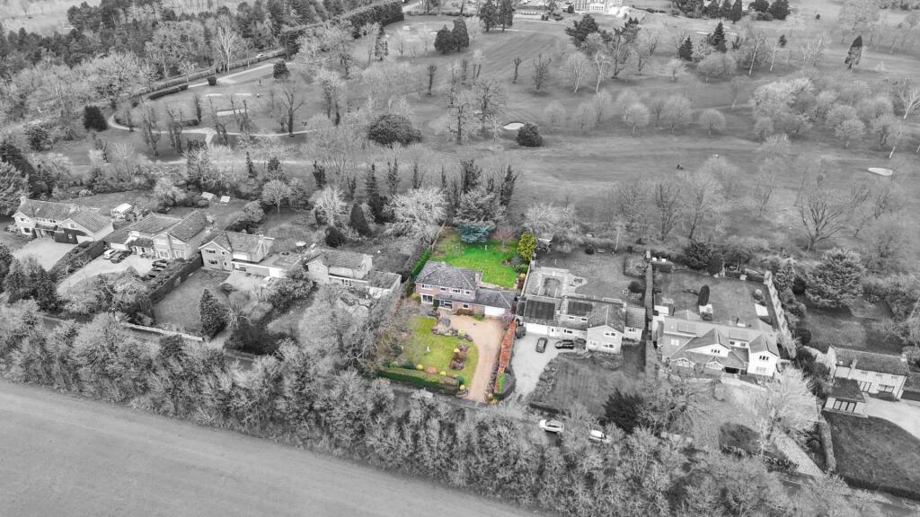 67b3792b86e4f-1242437 (14) D (1).jpg