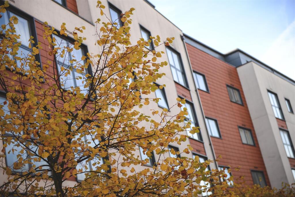 Epsom Stock (15 of 38).jpg