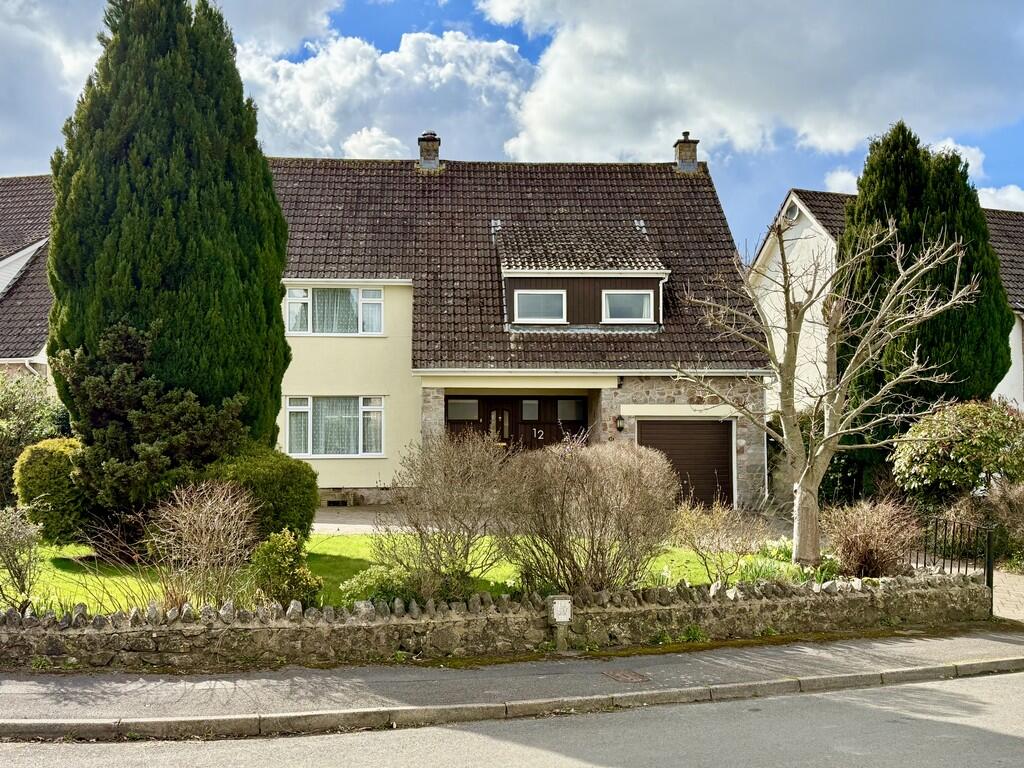 Front View and Ga...