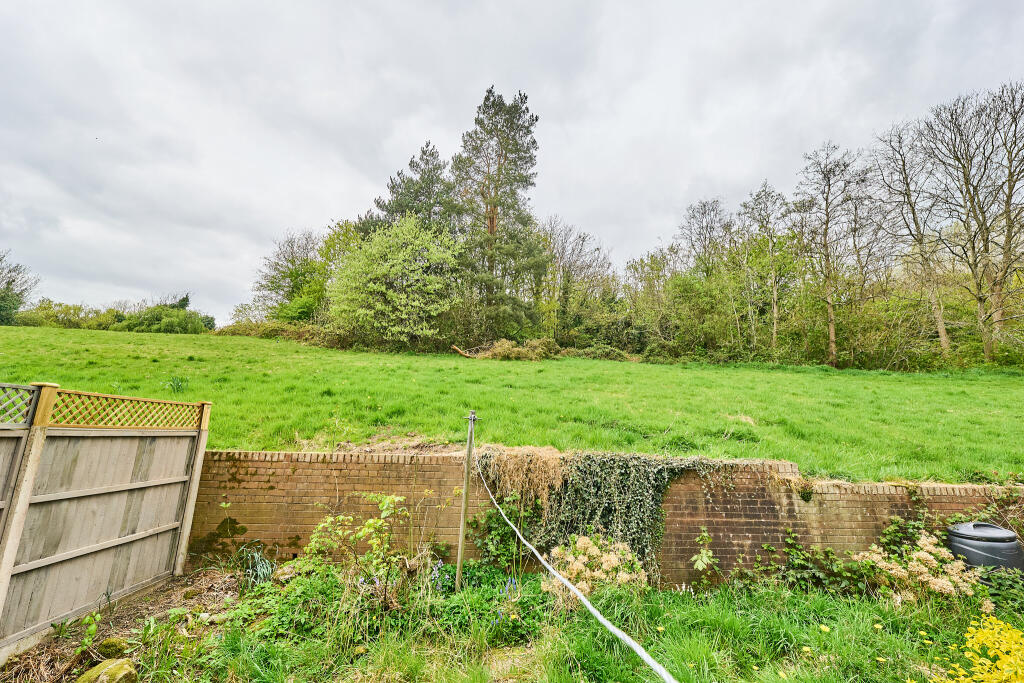 P1456231 T202504141830.jpg