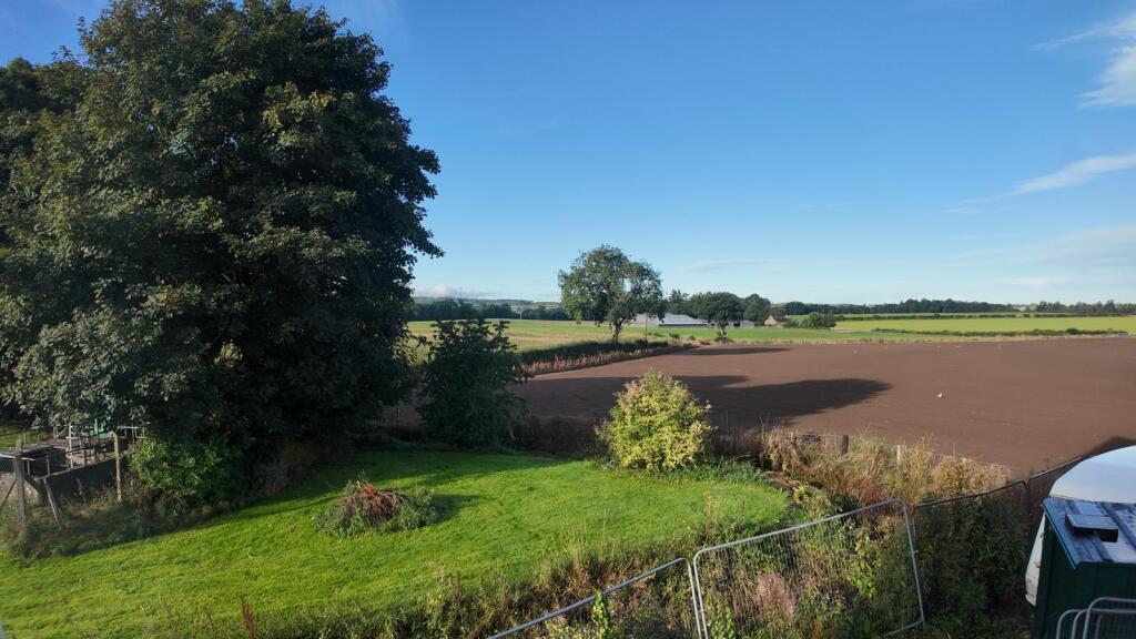 WhatsApp Image 2024-10-16 at 09.43.32.jpeg