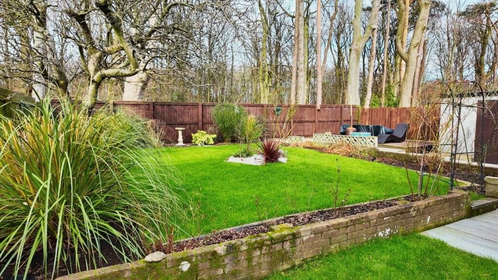 Garden 2.jpg