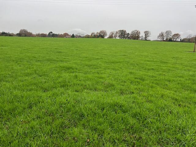 Lot 2