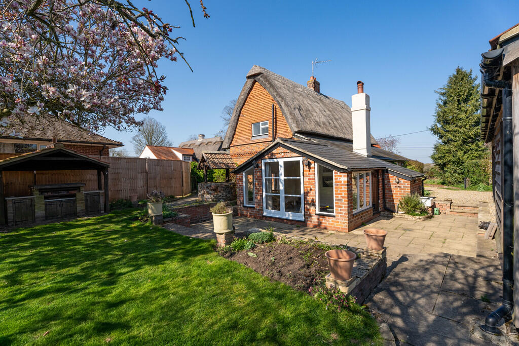 Yew Tree-7