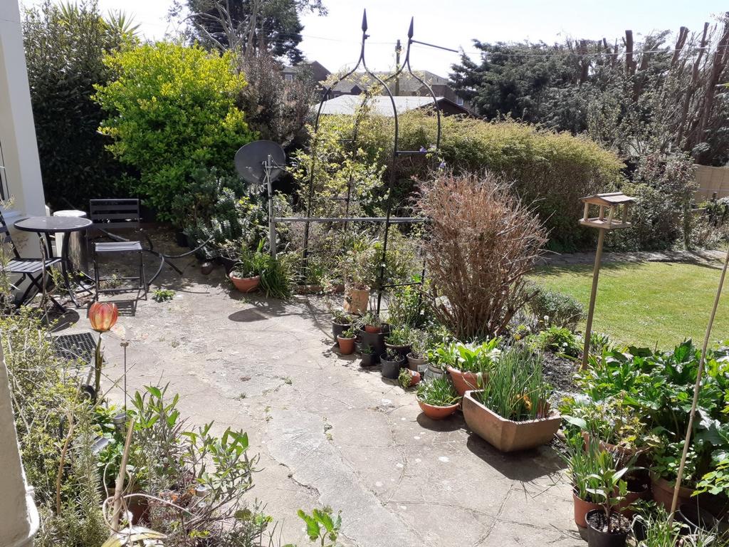 Rear Patio area