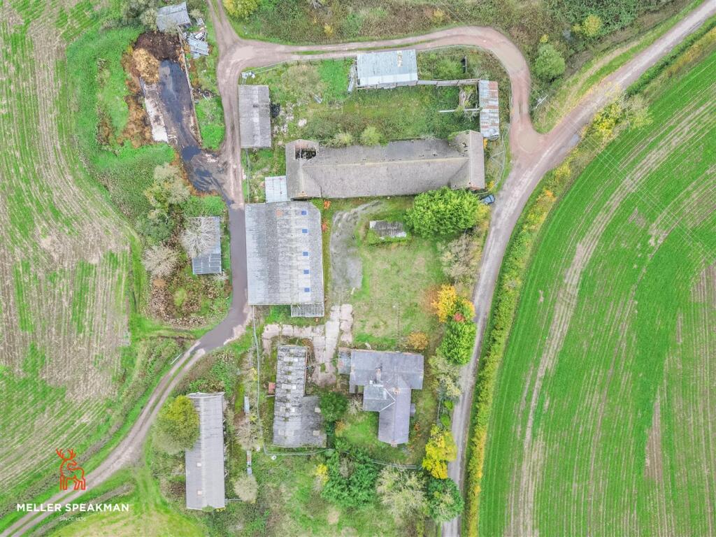 20251023-DJI_0131.jpg