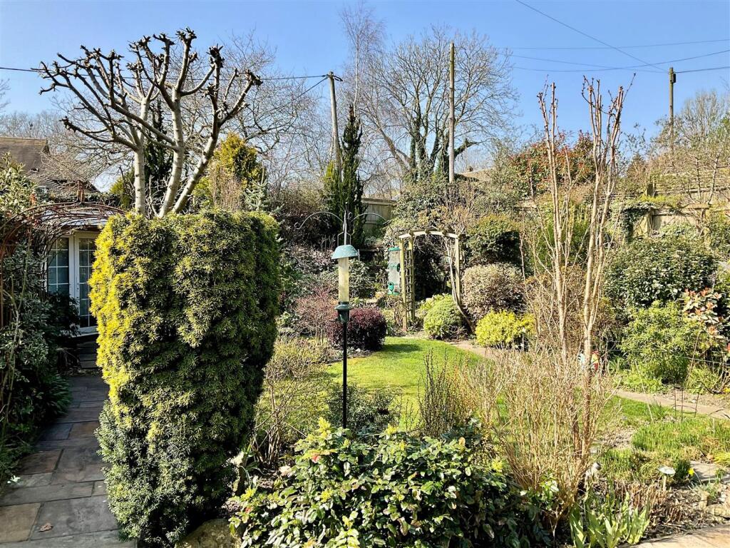 Garden pic21.jpg