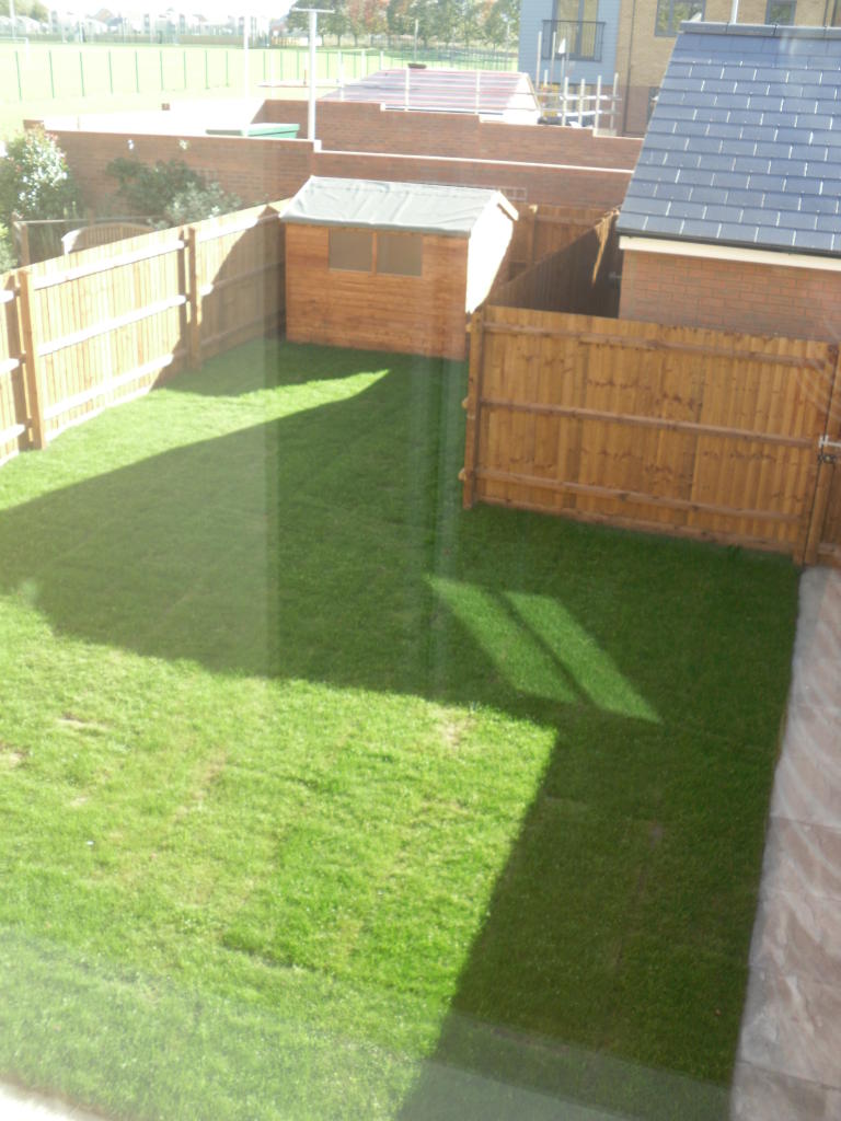 Rear Garden (6)