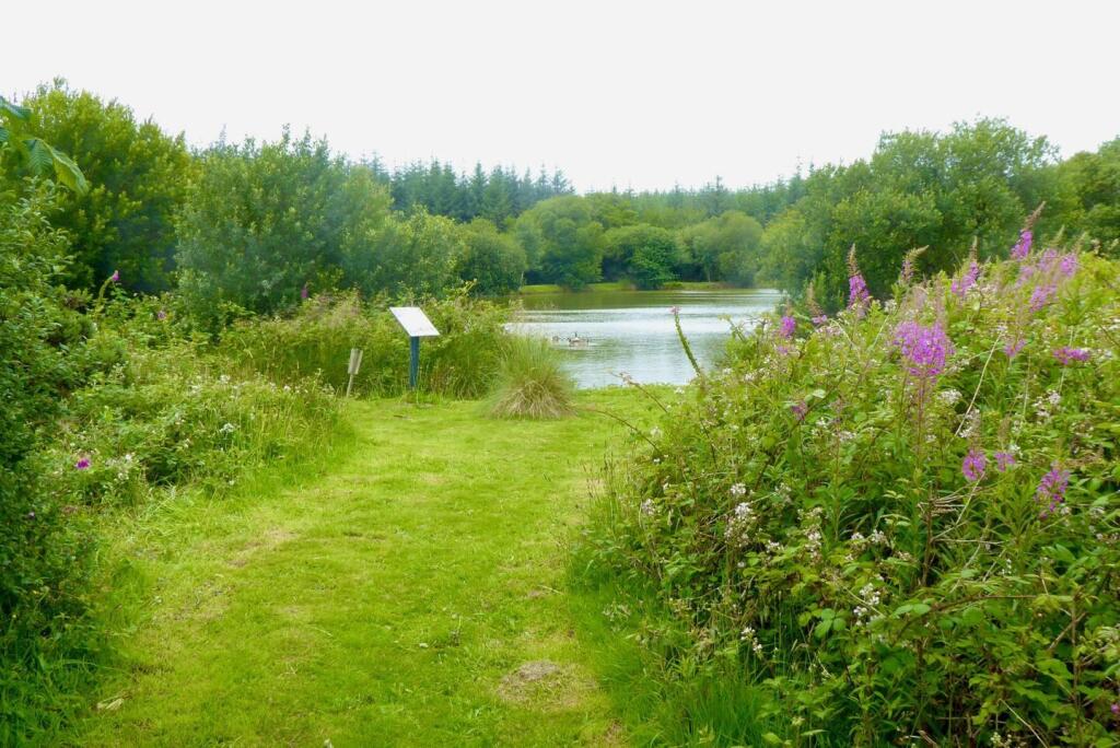 One of sites fishing lakes 2.jpeg