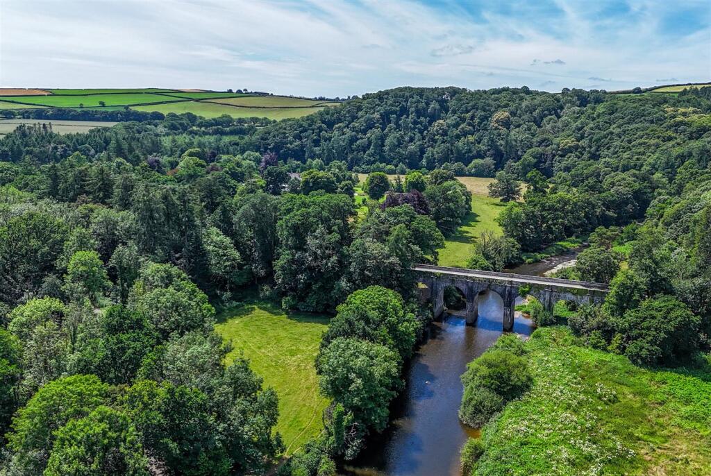 1319194 (7) Drone.jpg