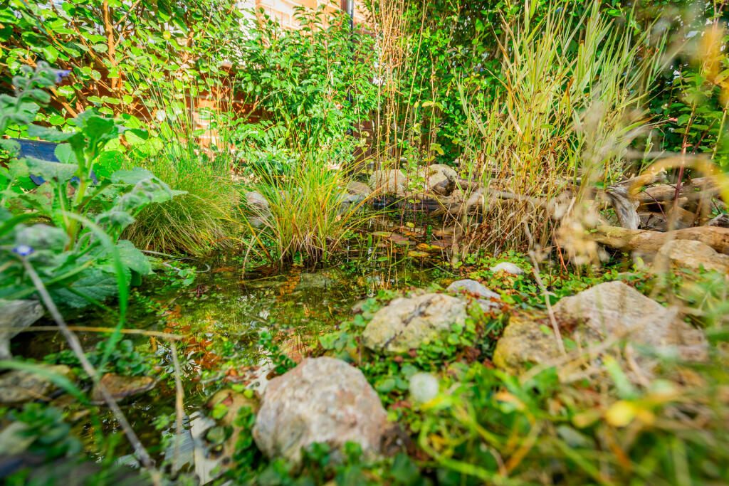 5F8A9978-Enhanced-NR