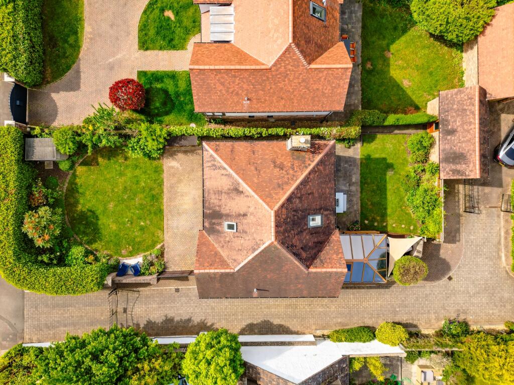 Plot View