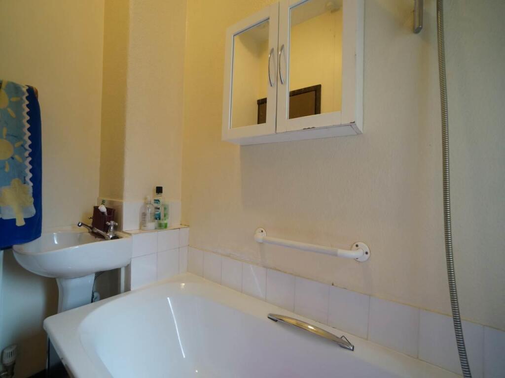 15Treflan_Bathroom1.1.JPG