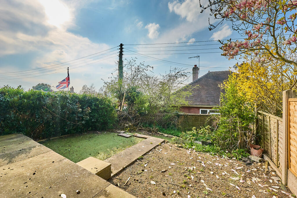 P1441395 T202504031905.jpg