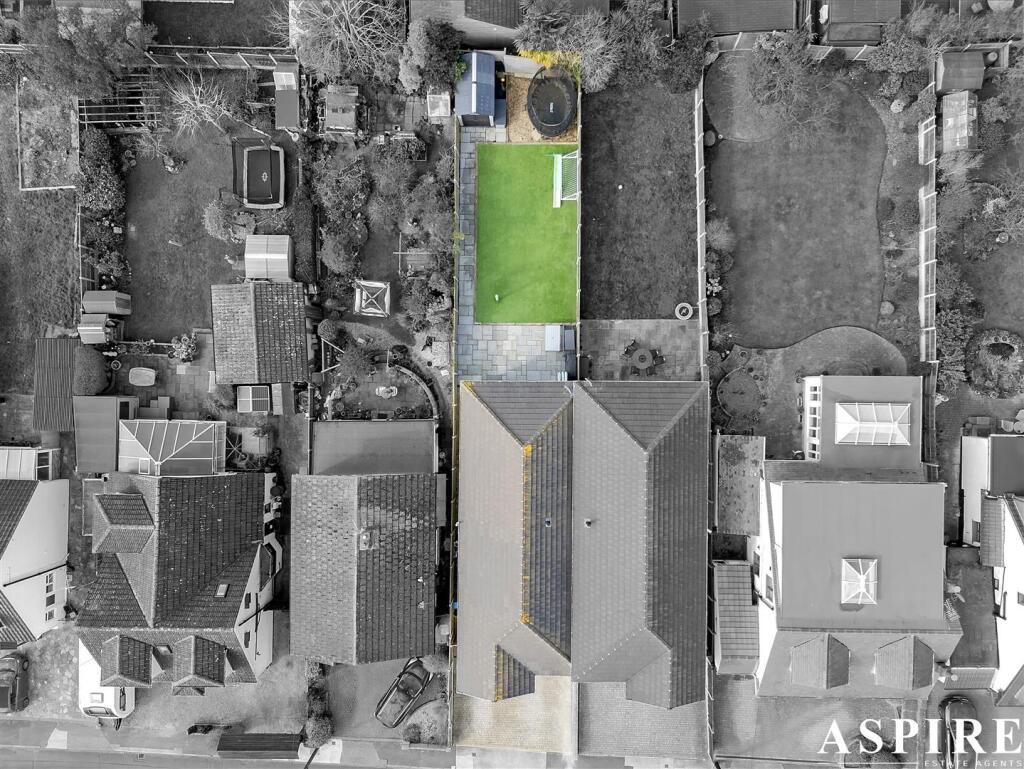 dji_20250307110117_0849_d copy - copy.jpg