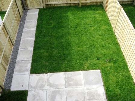 Photo 08