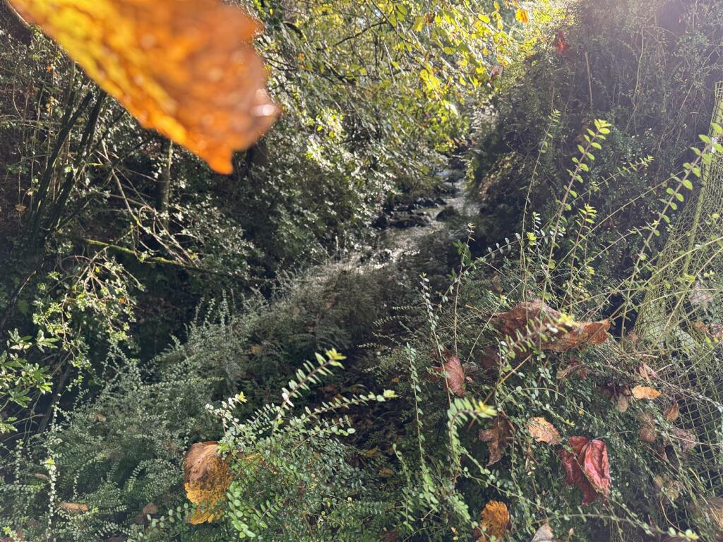 IMG_3637 2.jpeg