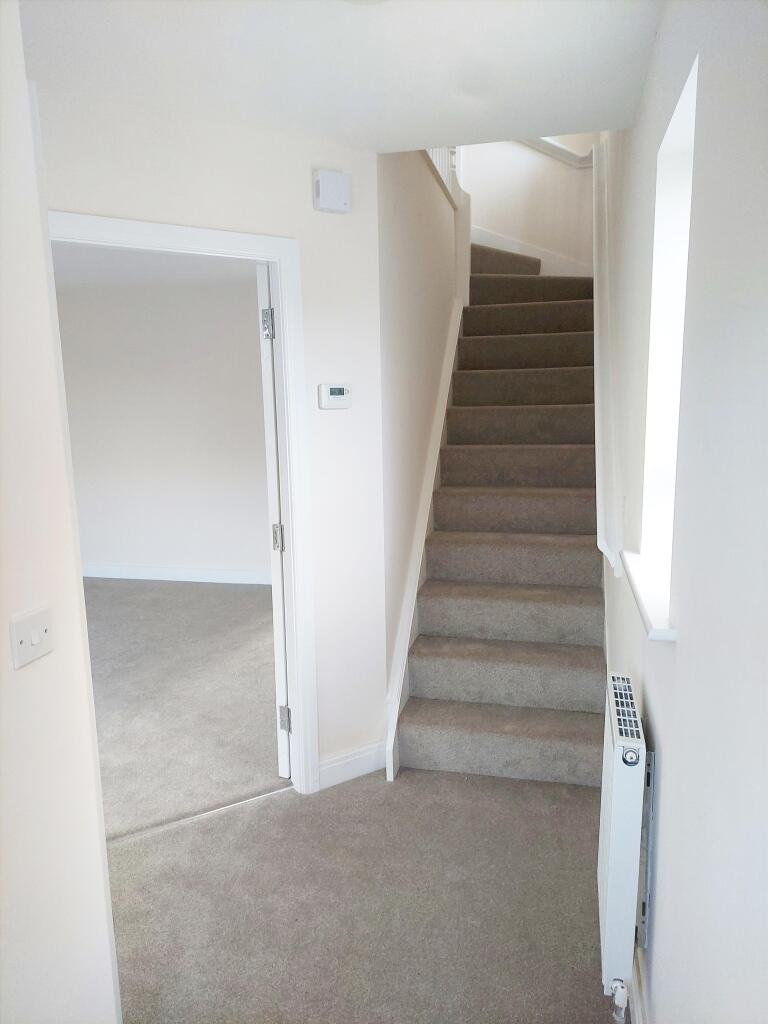 New Downstairs Hallw