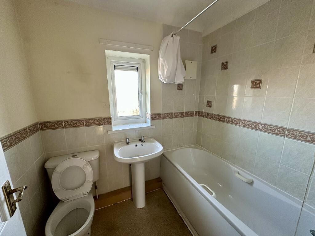 IMG 4263 T202511290956.jpeg