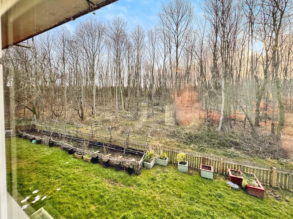 Living Room View