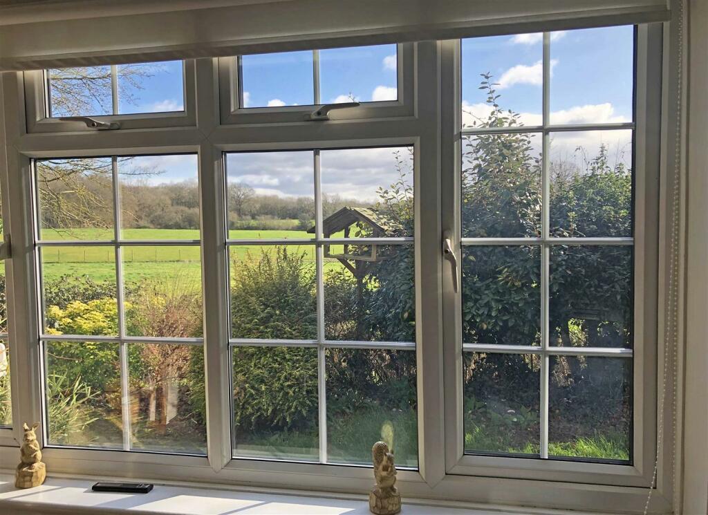 Window View.jpg