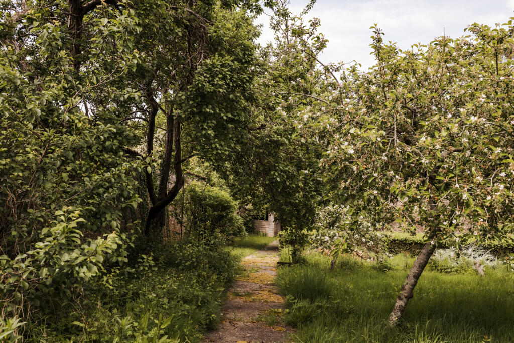 283710 - SLhr-34.jpg