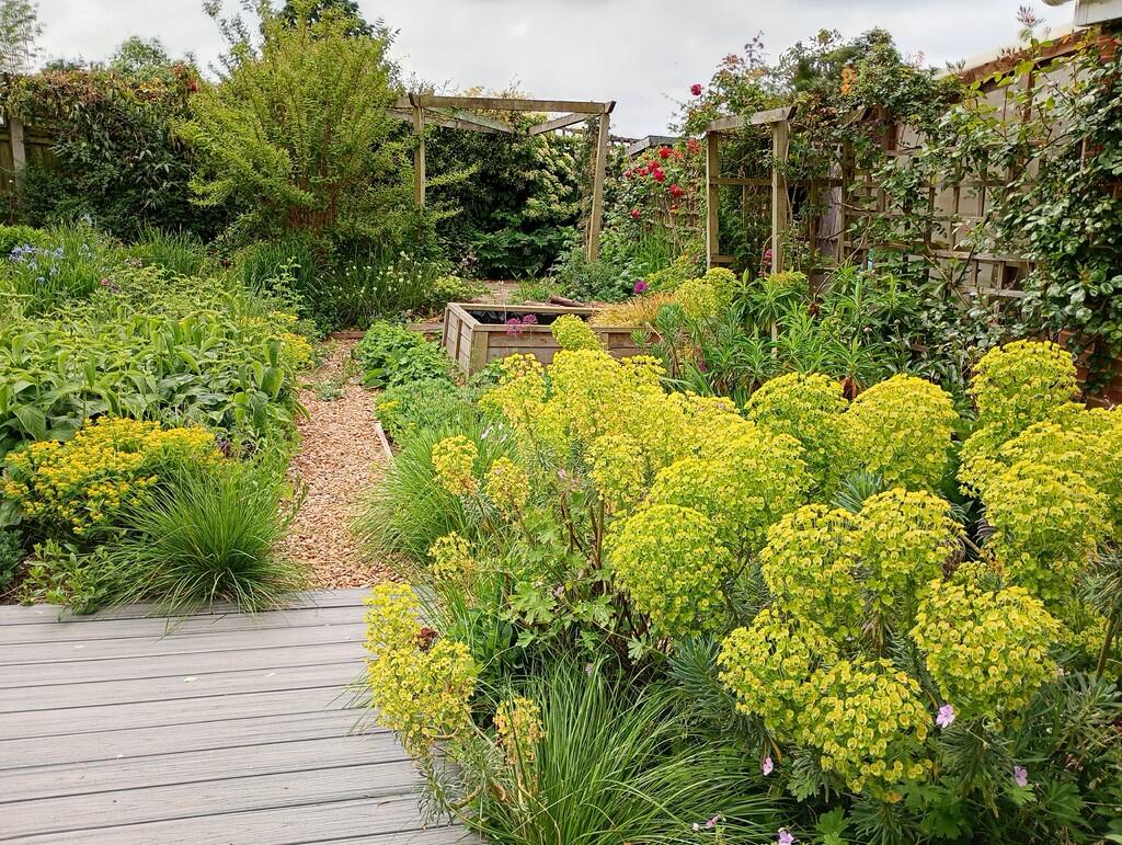 IMG_20250522_1034...