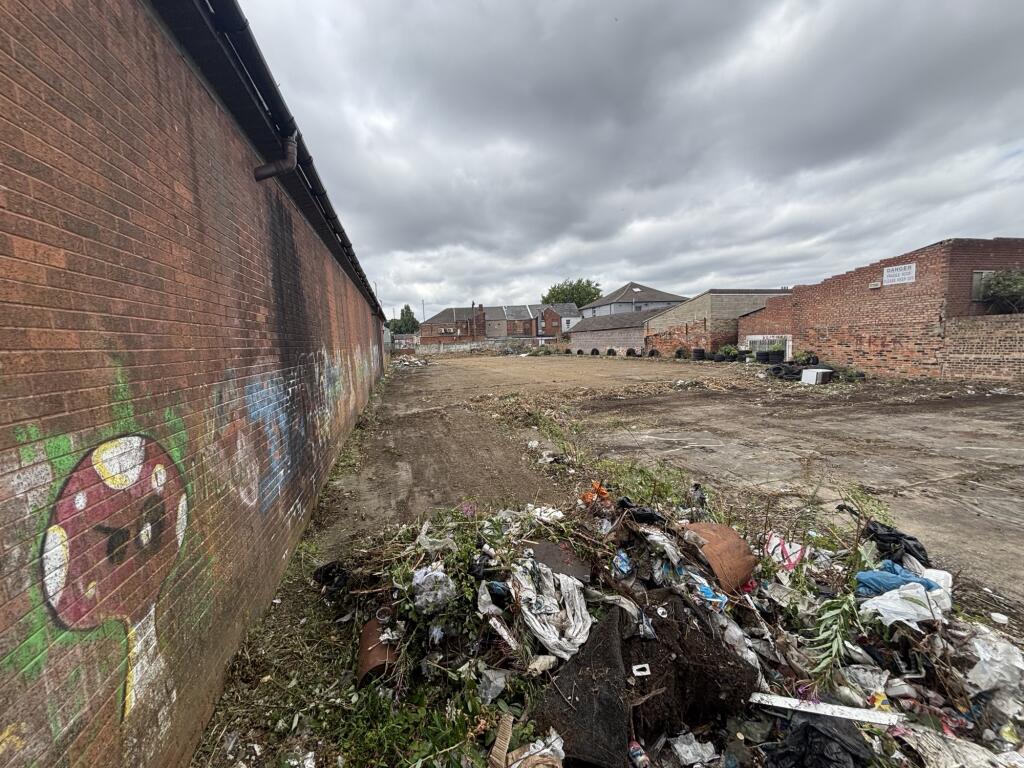 IMG 2619 T202507291110.jpeg