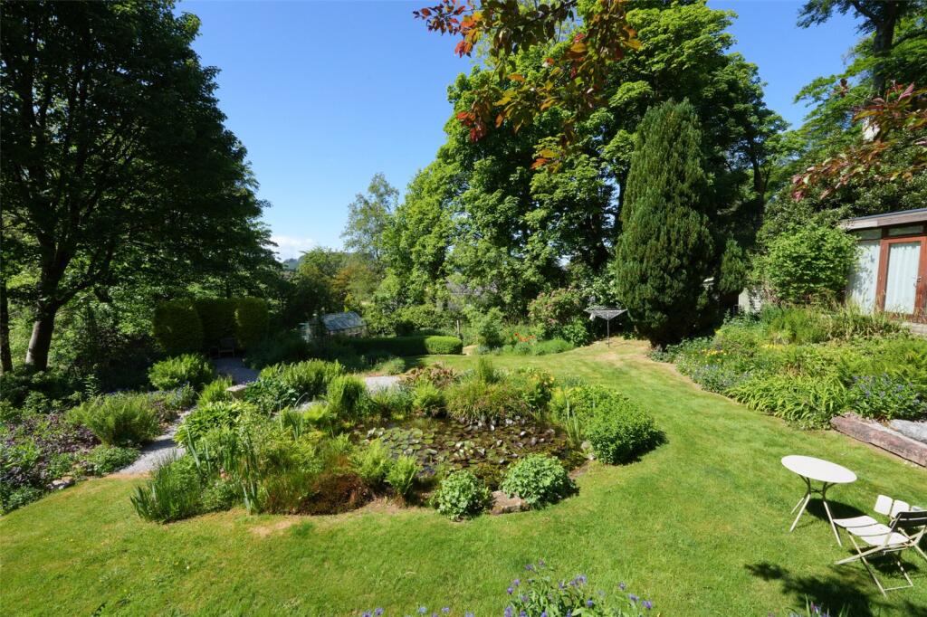 Pond