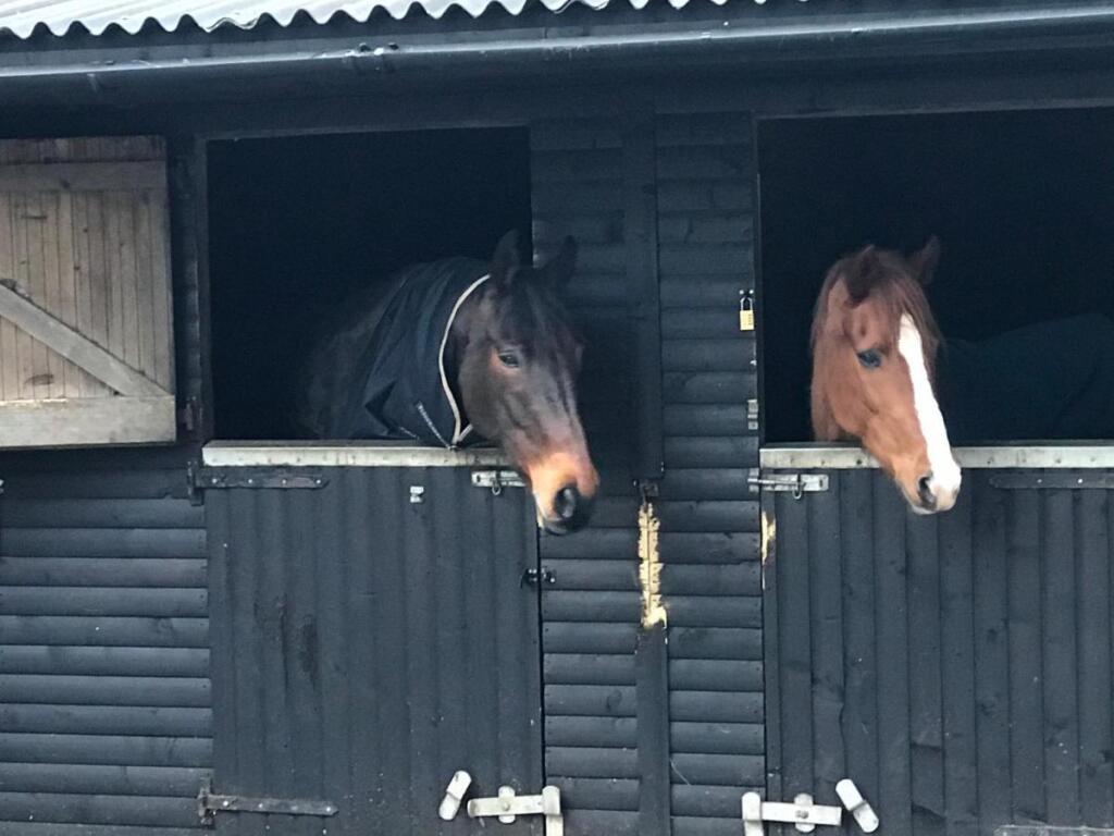 Stables