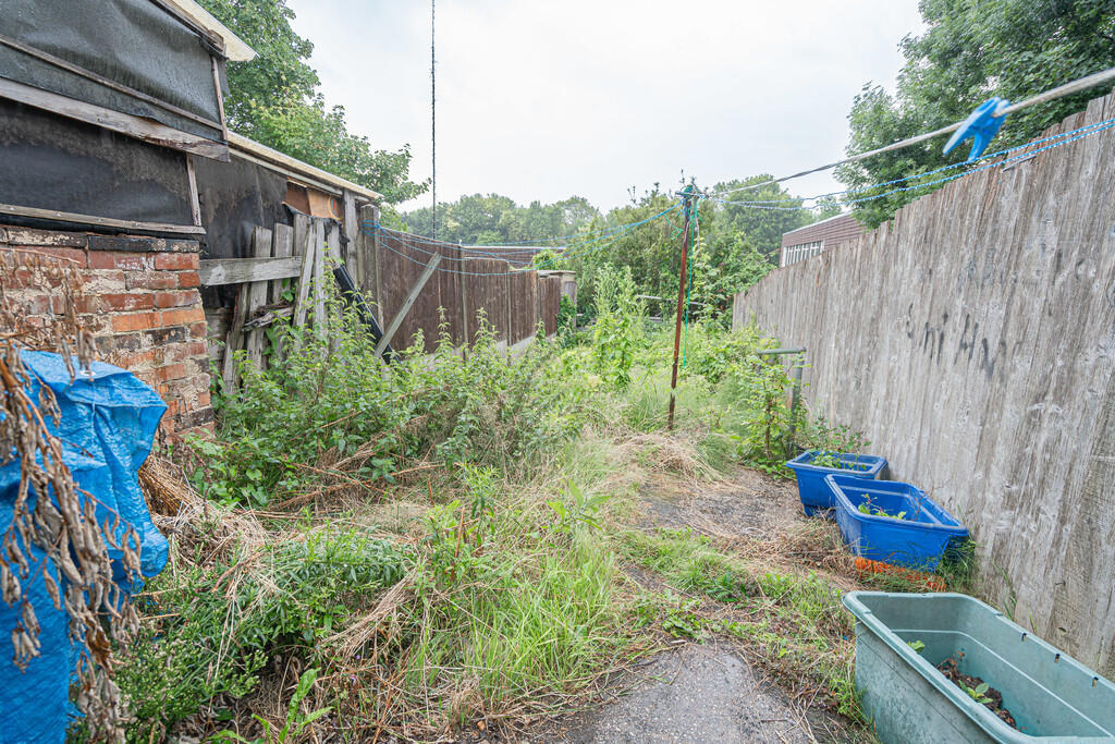 20250804-DSC05996...