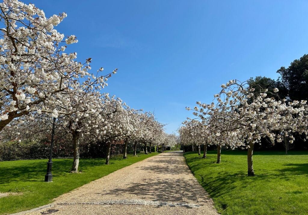 Driveway April 2025