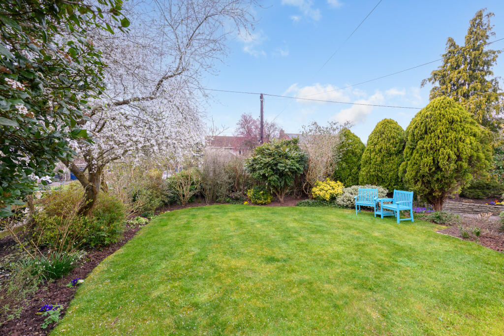 TEK HiRes 250324 020