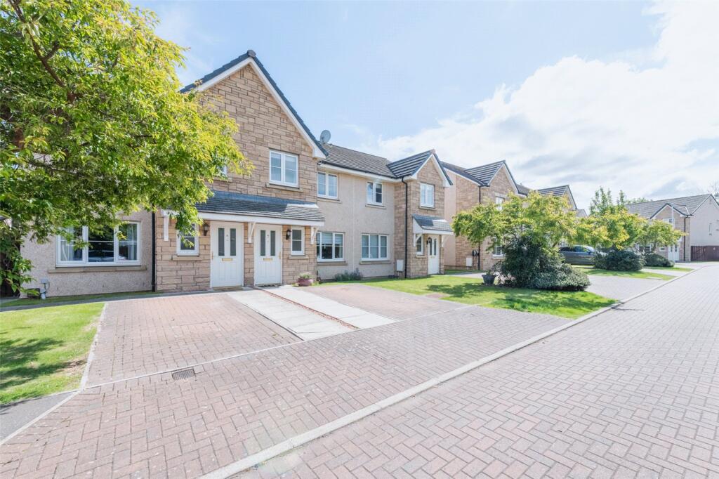 Dolphingstone Ct7397