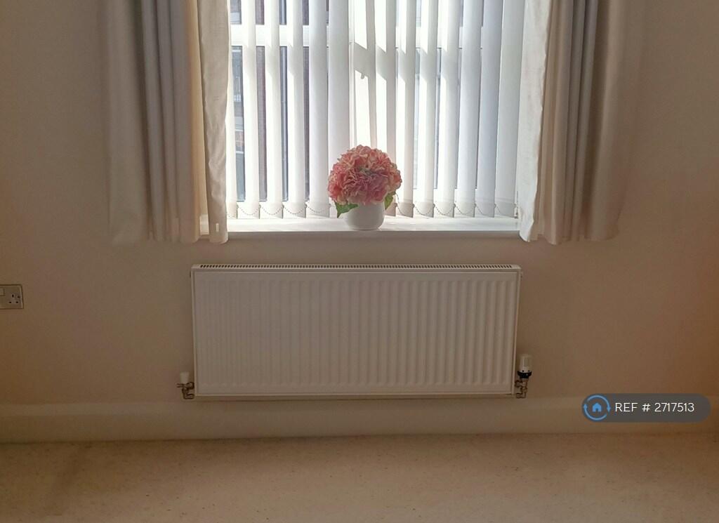 Central Heating Radiator