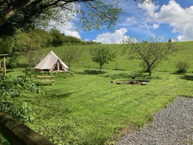 Paddock/Glamping site