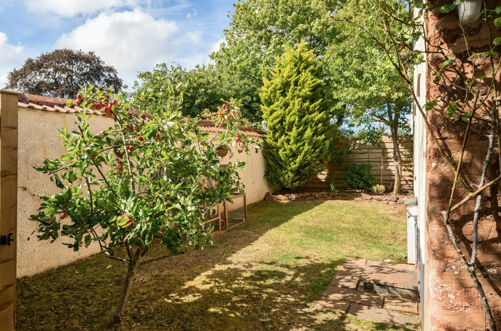 Side Garden