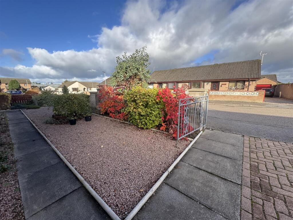 front garden.jpeg