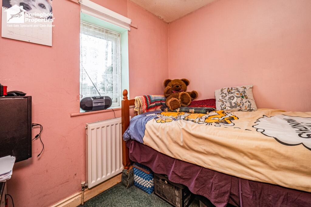 IMAGE 11