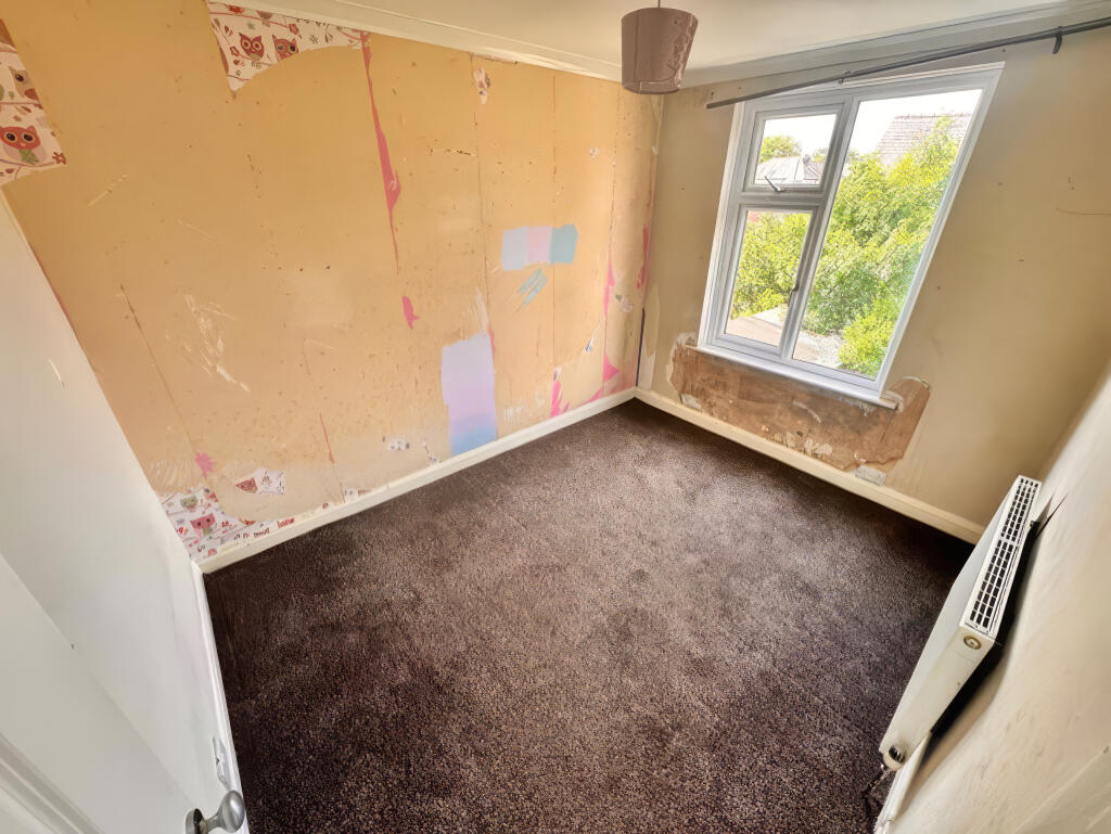 2387137 T202512050933.jpeg