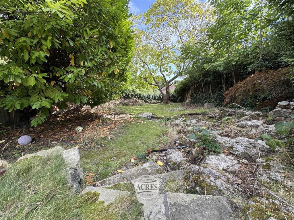 IMG_3581 (Large).jpg