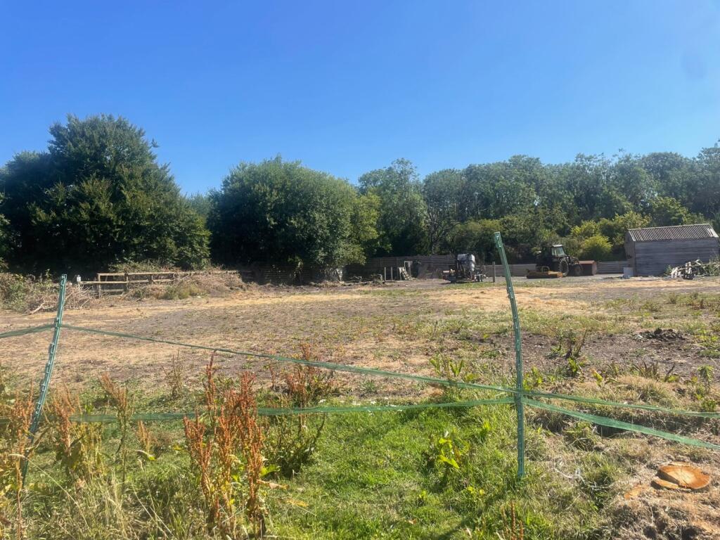 WhatsApp Image 2025-07-21 at 17.31.51