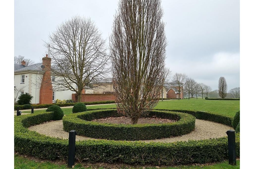 Communal Gardens