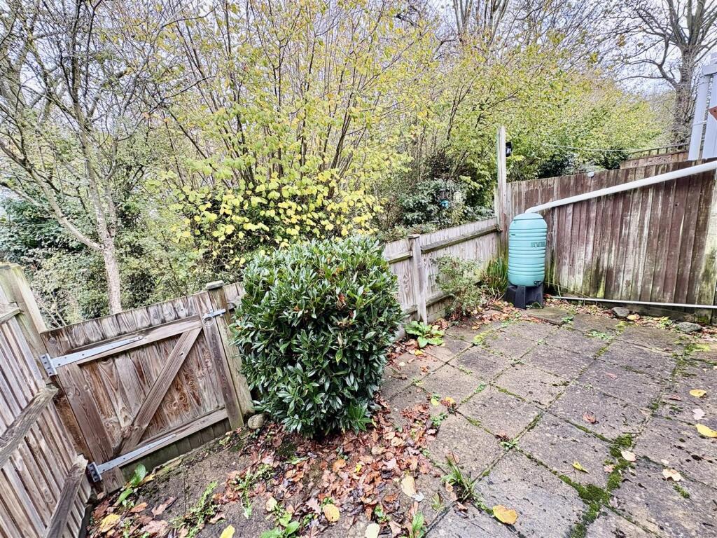 Rear Courtyard Patio Garden